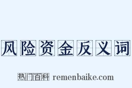 风险资金反义词是什么意思的图片